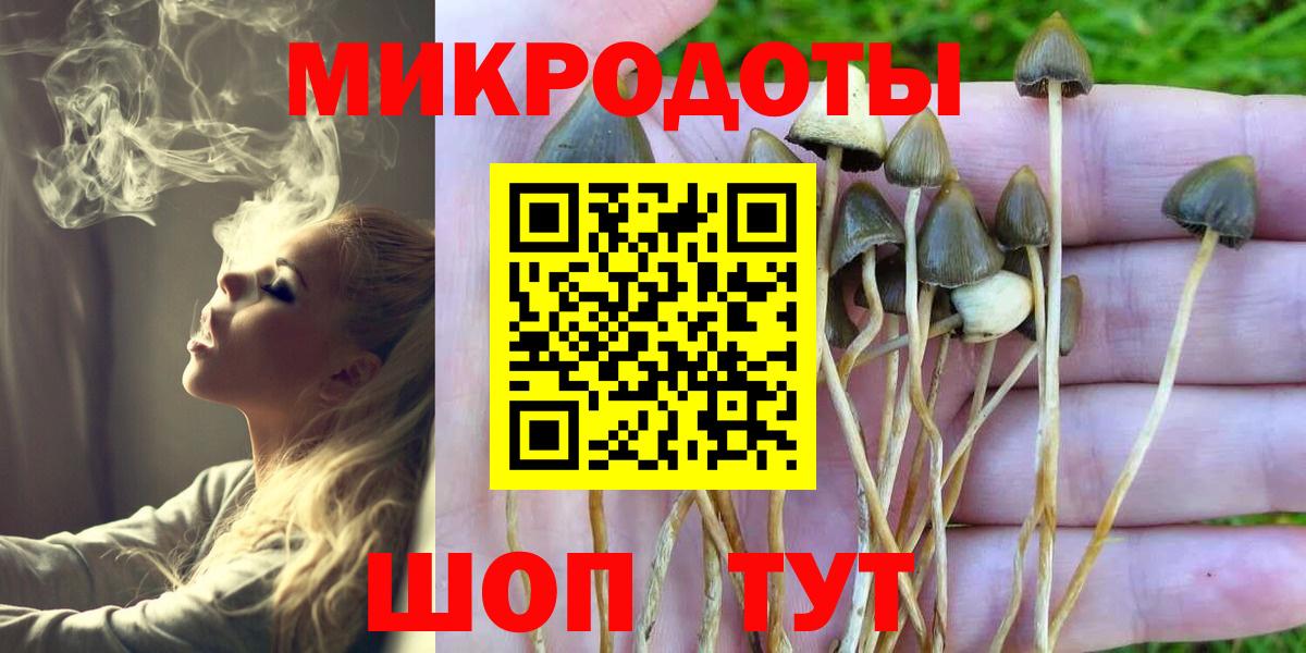 Псилоцибиновые грибы прущие грибы  Вход с VPN  даркнет сайт  Ялта 